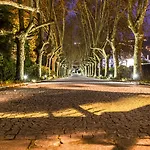 Pacheca The Wine House E - Quinta Da Pacheca