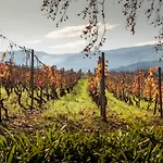 Pacheca The Wine House E - Quinta Da Pacheca ラメゴ