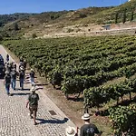Pacheca The Wine House E - Quinta Da Pacheca فندق 5*