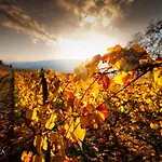 Pacheca The Wine House E - Quinta Da Pacheca ホテル 5*