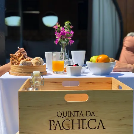 Hotel Pacheca The Wine House E - Quinta Da Pacheca Lamego
