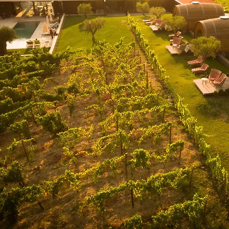 Отель Pacheca The Wine House E - Quinta Da Pacheca Ламегу