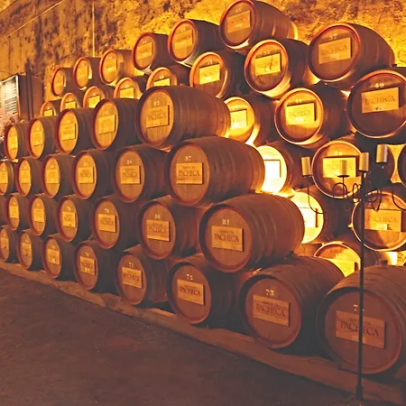 酒屋昆塔帕其卡酒店 拉梅戈