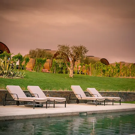Pacheca The Wine House E - Quinta Da Pacheca فندق لاميغو