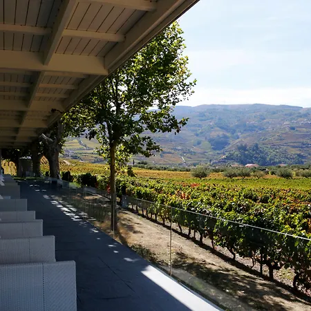 Pacheca The Wine House E - Quinta Da Pacheca Отель Ламегу