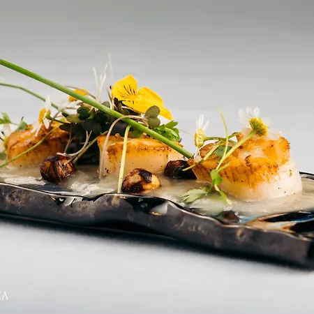 Pacheca The Wine House E - Quinta Da Pacheca 5*