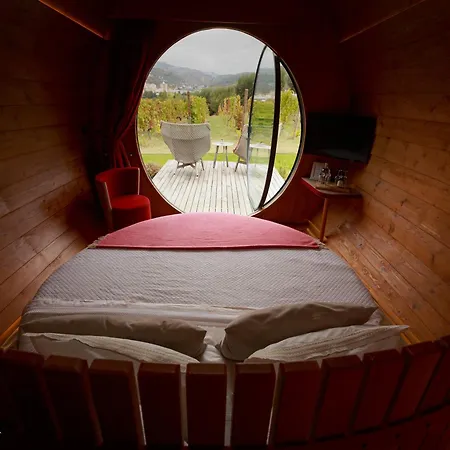 Pacheca The Wine House E - Quinta Da Pacheca