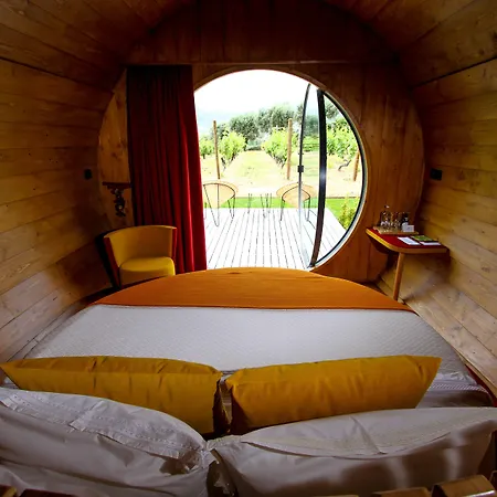 Hotel Pacheca The Wine House E - Quinta Da Pacheca Lamego