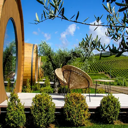 호텔 Pacheca The Wine House E - Quinta Da Pacheca