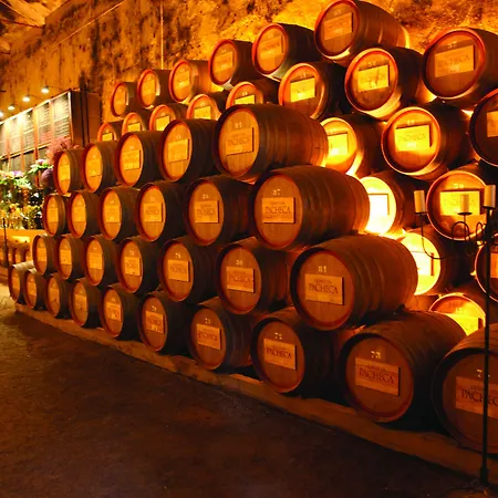 Pacheca The Wine House E - Quinta Da Pacheca Hotel Lamego