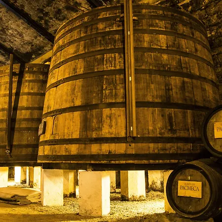 Pacheca The Wine House E - Quinta Da Pacheca Lamego