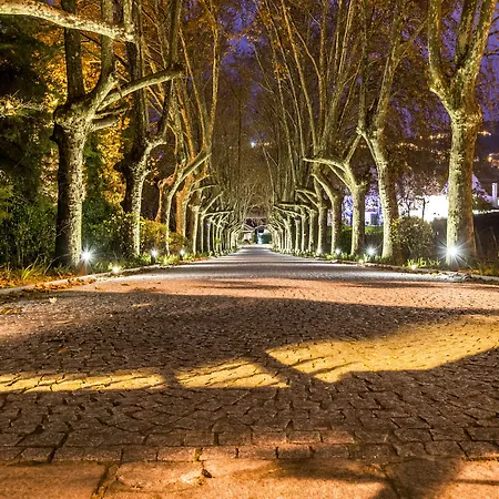 Pacheca The Wine House E - Quinta Da Pacheca