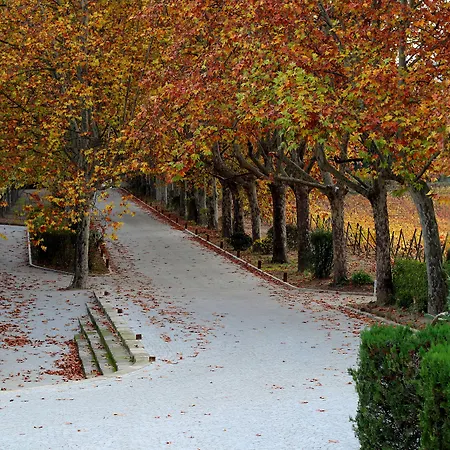 Pacheca The Wine House E - Quinta Da Pacheca 5* Lamego