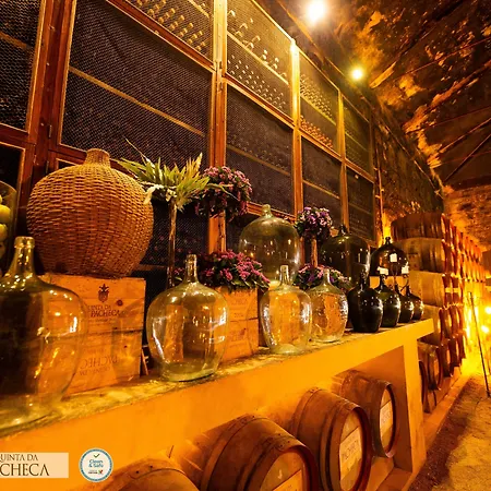 Pacheca The Wine House E - Quinta Da Pacheca Lamego