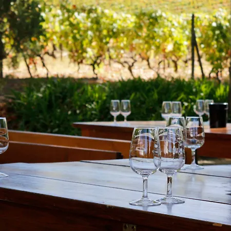 Отель Pacheca The Wine House E - Quinta Da Pacheca