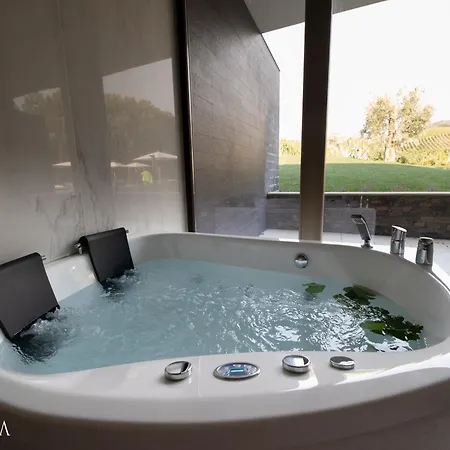 Pacheca The Wine House E - Quinta Da Pacheca Lamego