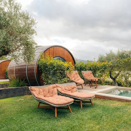 Pacheca The Wine House E - Quinta Da Pacheca 5*