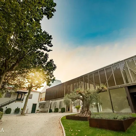 호텔 Pacheca The Wine House E - Quinta Da Pacheca 라메구