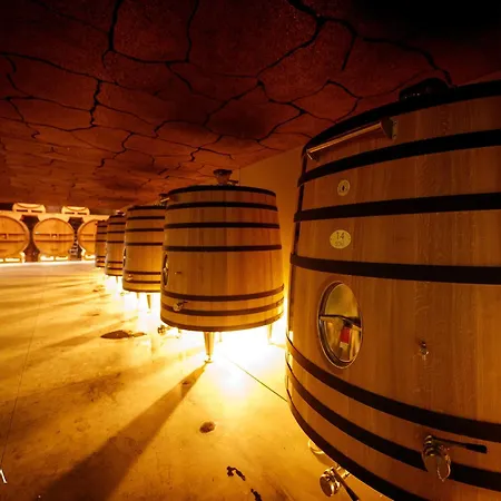 Pacheca The Wine House E - Quinta Da Pacheca 5* 라메구