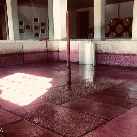 Pacheca The Wine House E - Quinta Da Pacheca