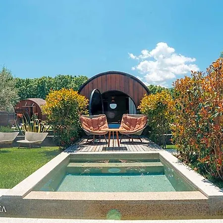 Pacheca The Wine House E - Quinta Da Pacheca Lamego