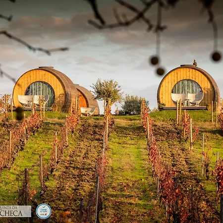Pacheca The Wine House E - Quinta Da Pacheca Lamego