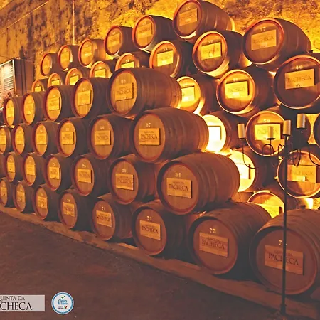 Pacheca The Wine House E - Quinta Da Pacheca Ξενοδοχείο Lamego