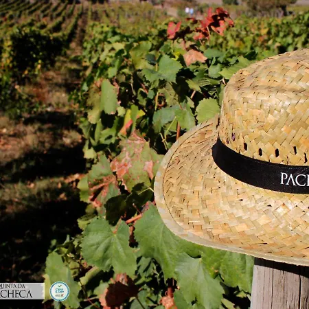 Hotel Pacheca The Wine House E - Quinta Da Pacheca 5*