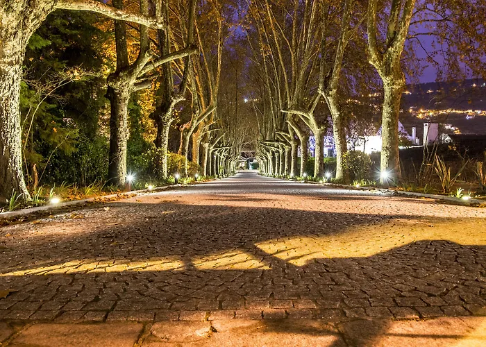 Pacheca The Wine House E - Quinta Da Pacheca