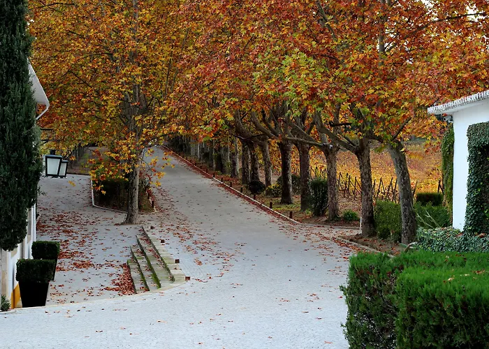 Pacheca The Wine House E - Quinta Da Pacheca 5* Lamego