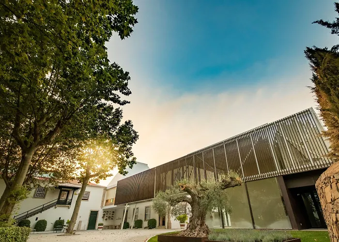 Pacheca The Wine House E - Quinta Da Pacheca Hotell Lamego