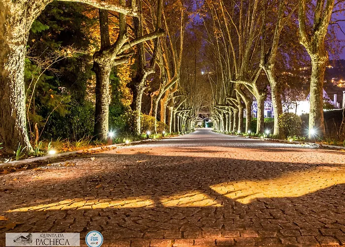 Pacheca The Wine House E - Quinta Da Pacheca Lamego