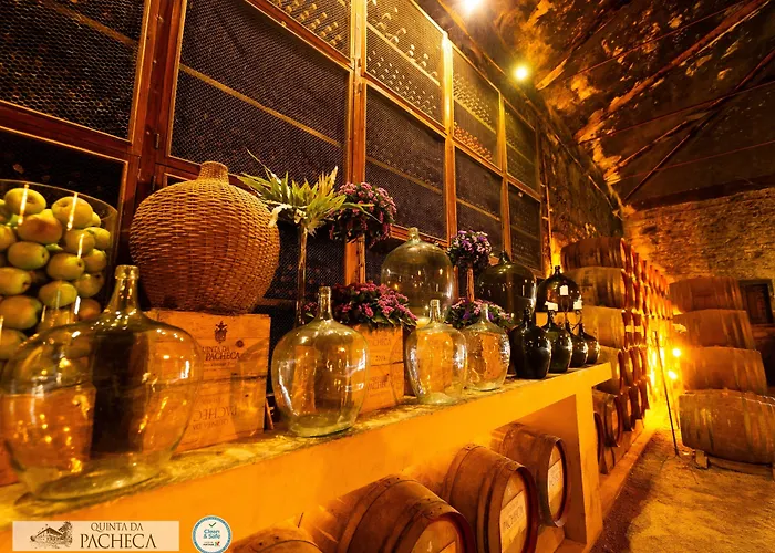 Pacheca The Wine House E - Quinta Da Pacheca Lamego