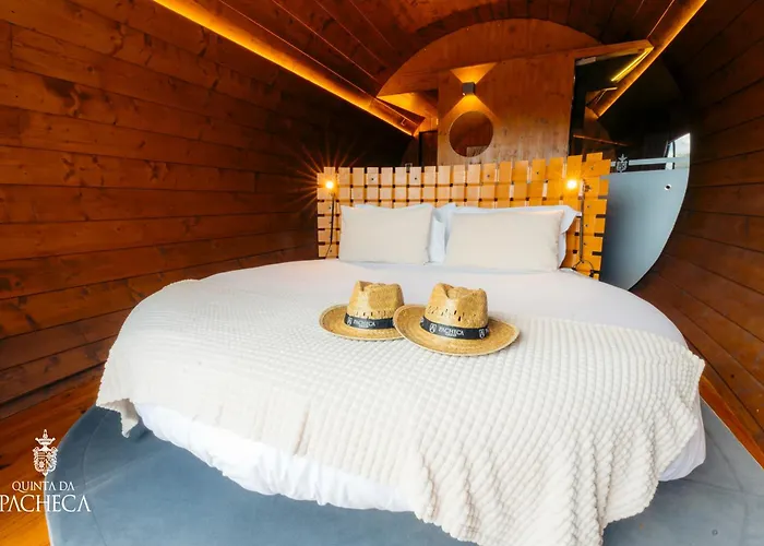 Hotel Pacheca The Wine House E - Quinta Da Pacheca 5*