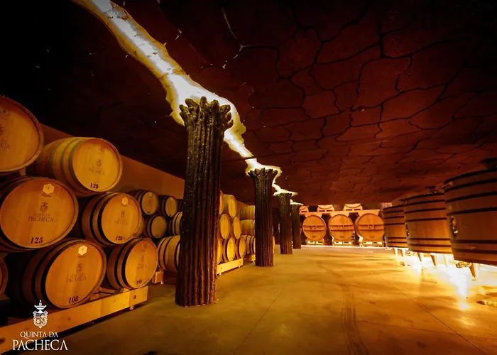 Hotel Pacheca The Wine House E - Quinta Da Pacheca 5*