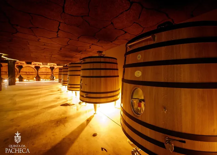 Pacheca The Wine House E - Quinta Da Pacheca 5* Lamego