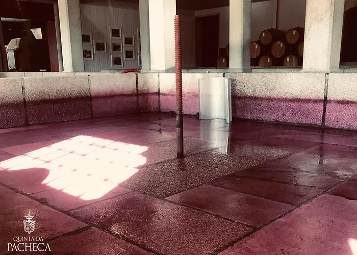 Pacheca The Wine House E - Quinta Da Pacheca