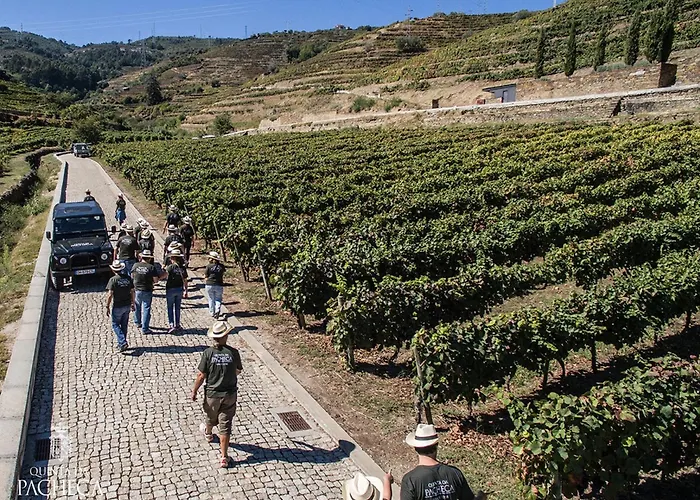 Pacheca The Wine House E - Quinta Da Pacheca 호텔 5*