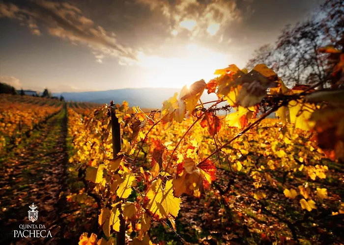 Pacheca The Wine House E - Quinta Da Pacheca Hotel 5*